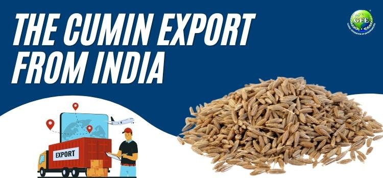 Cumin Export from India