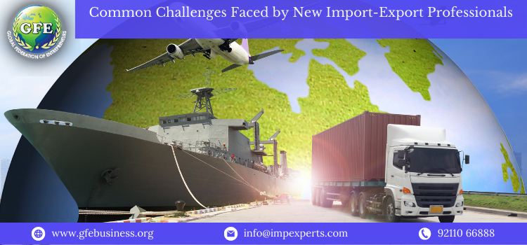 Common Challenges Faced by New Import-Export Professionals