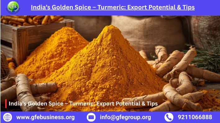 India’s Golden Spice – Turmeric: Export Potential & Tips